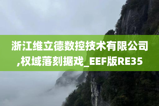 浙江维立德数控技术有限公司,权域落刻据戏_EEF版RE35