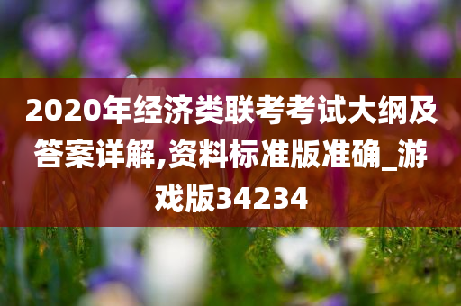 2020年经济类联考考试大纲及答案详解,资料标准版准确_游戏版34234