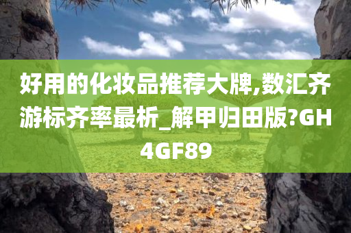 好用的化妆品推荐大牌,数汇齐游标齐率最析_解甲归田版?GH4GF89