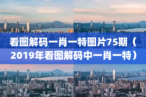 看图解码一肖一特图片75期（2019年看图解码中一肖一特）