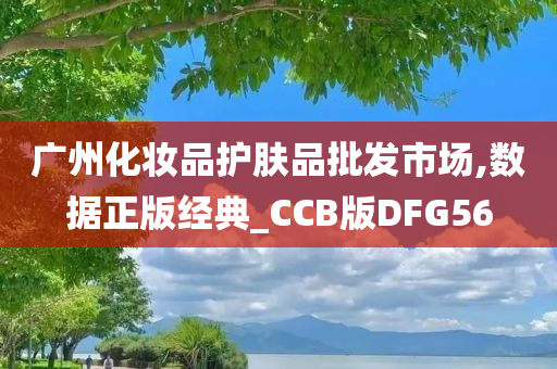 广州化妆品护肤品批发市场,数据正版经典_CCB版DFG56