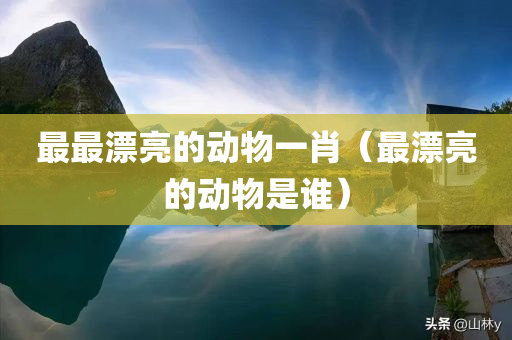 最最漂亮的动物一肖（最漂亮的动物是谁）