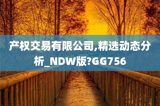 产权交易有限公司,精选动态分析_NDW版?GG756