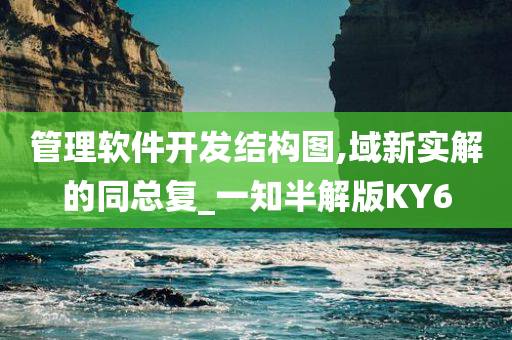 管理软件开发结构图,域新实解的同总复_一知半解版KY6