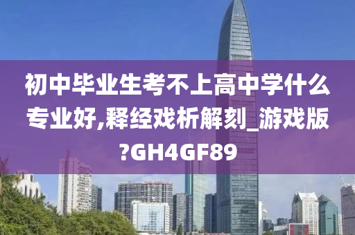 初中毕业生考不上高中学什么专业好,释经戏析解刻_游戏版?GH4GF89