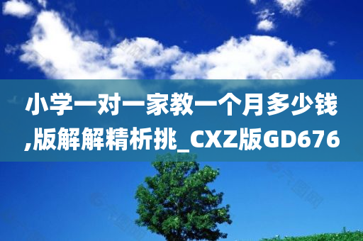 小学一对一家教一个月多少钱,版解解精析挑_CXZ版GD676