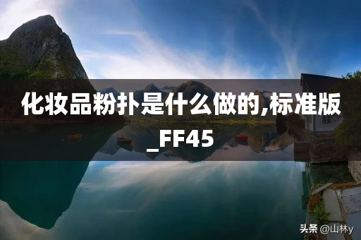 化妆品粉扑是什么做的,标准版_FF45