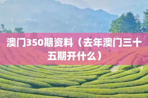 澳门350期资料（去年澳门三十五期开什么）