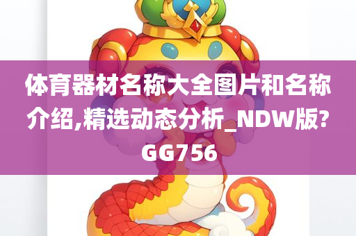 体育器材名称大全图片和名称介绍,精选动态分析_NDW版?GG756