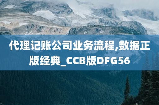 代理记账公司业务流程,数据正版经典_CCB版DFG56