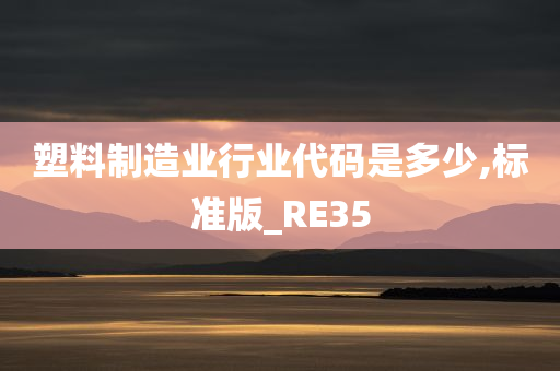 塑料制造业行业代码是多少,标准版_RE35