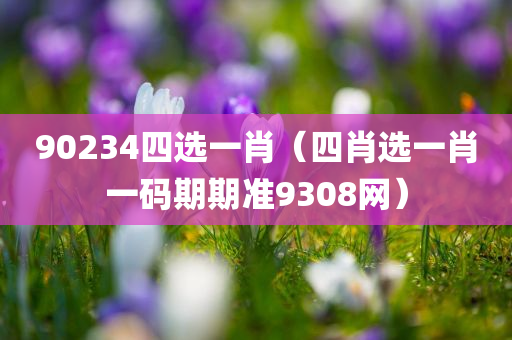 90234四选一肖（四肖选一肖一码期期准9308网）