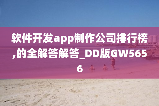 软件开发app制作公司排行榜,的全解答解答_DD版GW5656