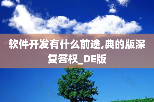 软件开发有什么前途,典的版深复答权_DE版