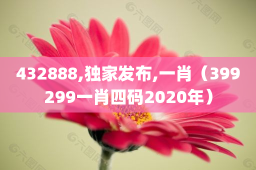 432888,独家发布,一肖（399299一肖四码2020年）