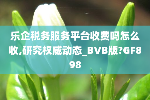 乐企税务服务平台收费吗怎么收,研究权威动态_BVB版?GF898