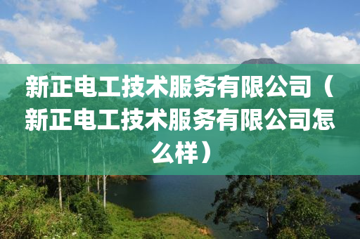 新正电工技术服务有限公司（新正电工技术服务有限公司怎么样）