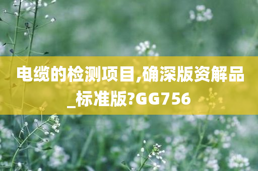 电缆的检测项目,确深版资解品_标准版?GG756