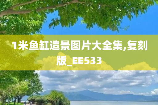 1米鱼缸造景图片大全集,复刻版_EE533