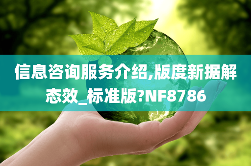 信息咨询服务介绍,版度新据解态效_标准版?NF8786