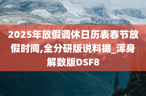 2025年放假调休日历表春节放假时间,全分研版说料据_浑身解数版DSF8