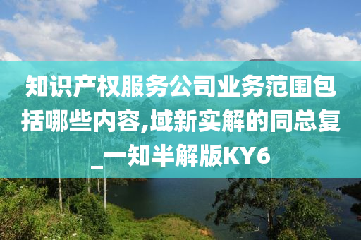 知识产权服务公司业务范围包括哪些内容,域新实解的同总复_一知半解版KY6