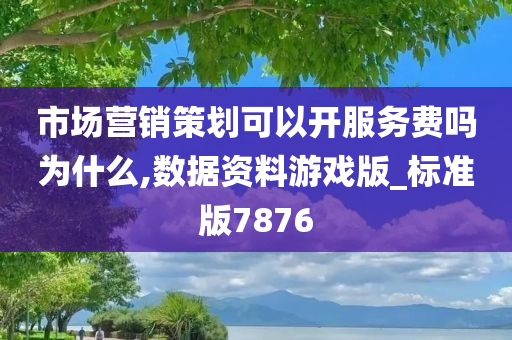 市场营销策划可以开服务费吗为什么,数据资料游戏版_标准版7876