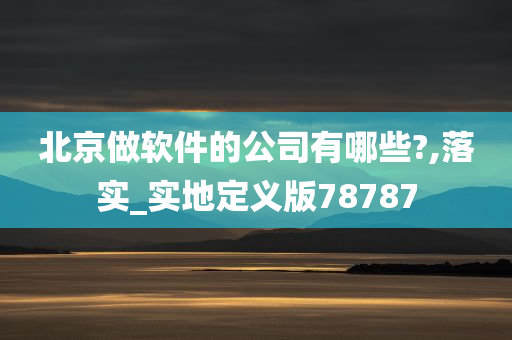 北京做软件的公司有哪些?,落实_实地定义版78787