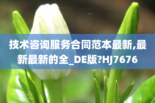 技术咨询服务合同范本最新,最新最新的全_DE版?HJ7676