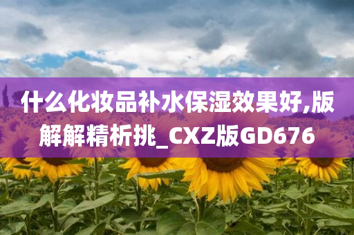 什么化妆品补水保湿效果好,版解解精析挑_CXZ版GD676