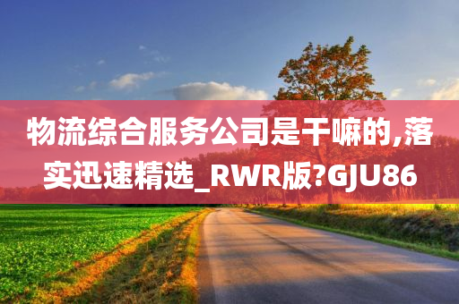 物流综合服务公司是干嘛的,落实迅速精选_RWR版?GJU86