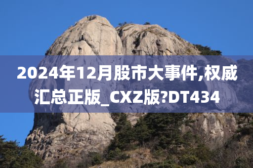 2024年12月股市大事件,权威汇总正版_CXZ版?DT434