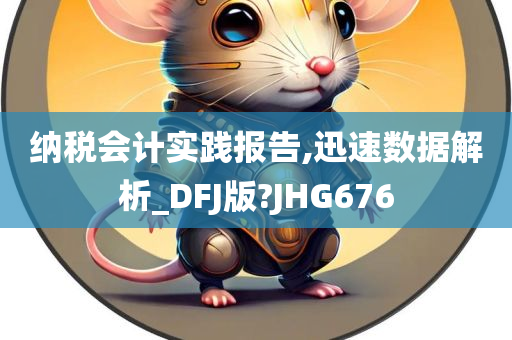 纳税会计实践报告,迅速数据解析_DFJ版?JHG676