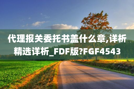 代理报关委托书盖什么章,详析精选详析_FDF版?FGF4543