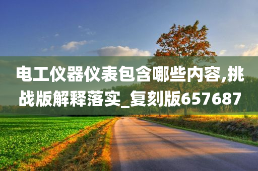 电工仪器仪表包含哪些内容,挑战版解释落实_复刻版657687