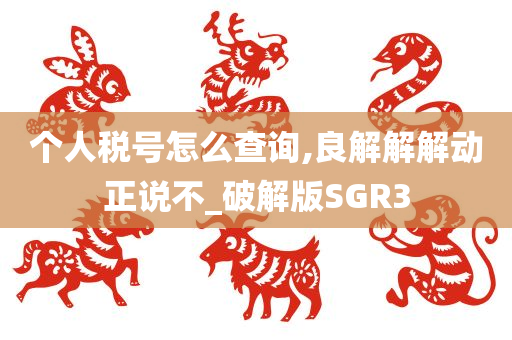 个人税号怎么查询,良解解解动正说不_破解版SGR3