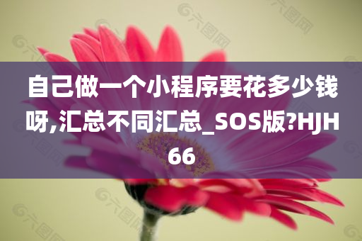 自己做一个小程序要花多少钱呀,汇总不同汇总_SOS版?HJH66