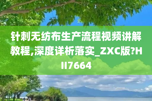 针刺无纺布生产流程视频讲解教程,深度详析落实_ZXC版?HII7664