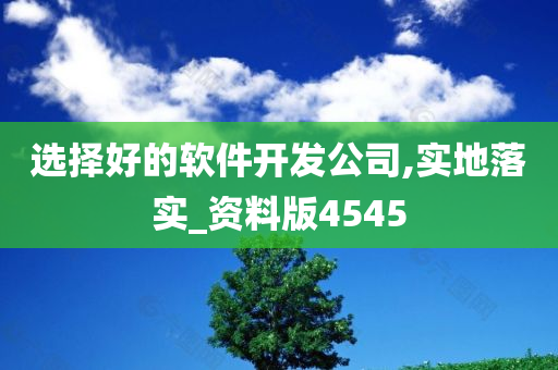 选择好的软件开发公司,实地落实_资料版4545