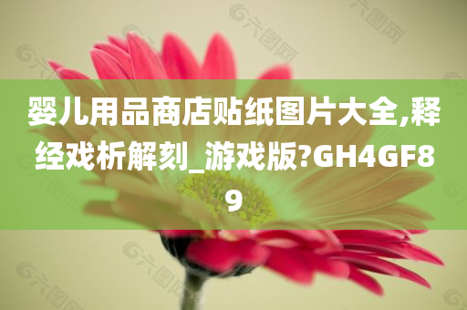 婴儿用品商店贴纸图片大全,释经戏析解刻_游戏版?GH4GF89