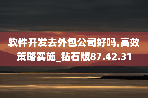 软件开发去外包公司好吗,高效策略实施_钻石版87.42.31