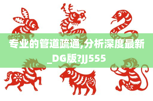 专业的管道疏通,分析深度最新_DG版?JJ555