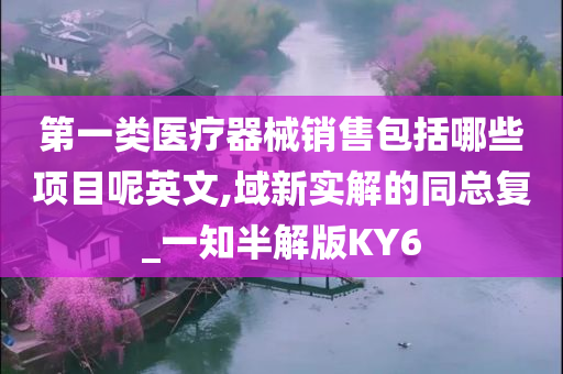 第一类医疗器械销售包括哪些项目呢英文,域新实解的同总复_一知半解版KY6