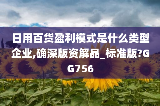 日用百货盈利模式是什么类型企业,确深版资解品_标准版?GG756