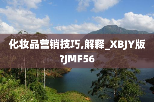 化妆品营销技巧,解释_XBJY版?JMF56