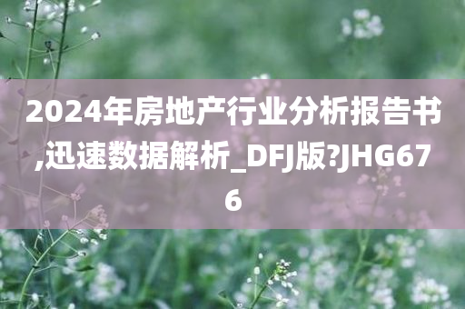 2024年房地产行业分析报告书,迅速数据解析_DFJ版?JHG676