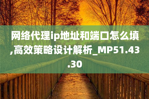 网络代理ip地址和端口怎么填,高效策略设计解析_MP51.43.30