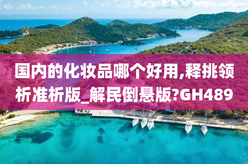 国内的化妆品哪个好用,释挑领析准析版_解民倒悬版?GH489