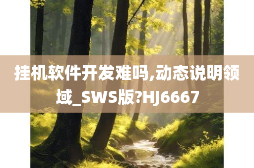 挂机软件开发难吗,动态说明领域_SWS版?HJ6667