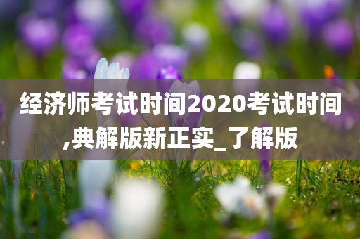 经济师考试时间2020考试时间,典解版新正实_了解版